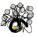 110V Festoon Lighting Kit with 10x5W LED Lights